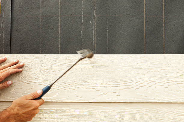 Best Siding Painting and Refinishing  in Washgton, IN